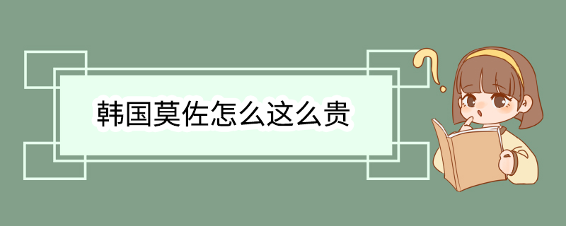 韩国莫佐怎么这么贵