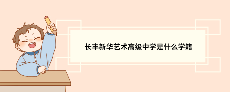 长丰新华艺术高级中学是什么学籍