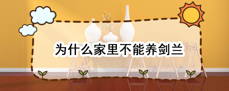 为什么家里不能养剑兰