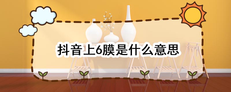 抖音上6膜是什么意思