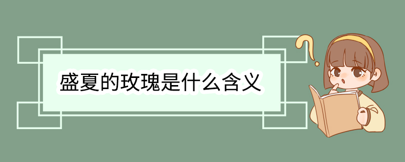 盛夏的玫瑰是什么含义