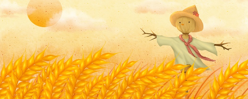 百农607和百农307哪个好