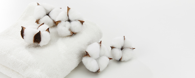 羽绒棉和PP棉有什么不同