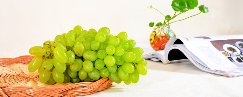 提子皮可以吃吗