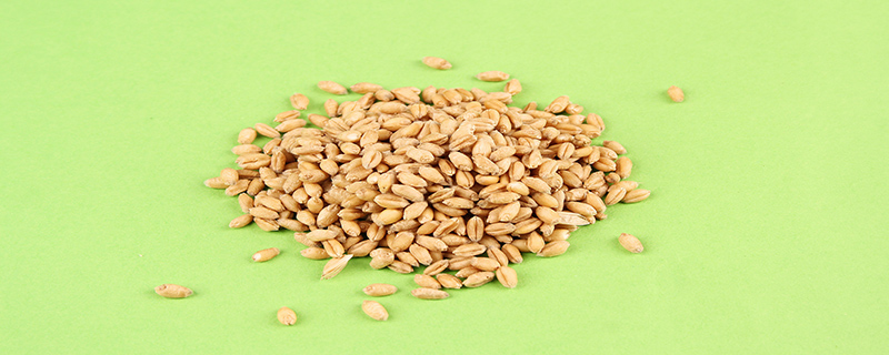 普通淀粉和玉米淀粉有什么区别