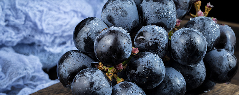 葡萄是什么季节的水果