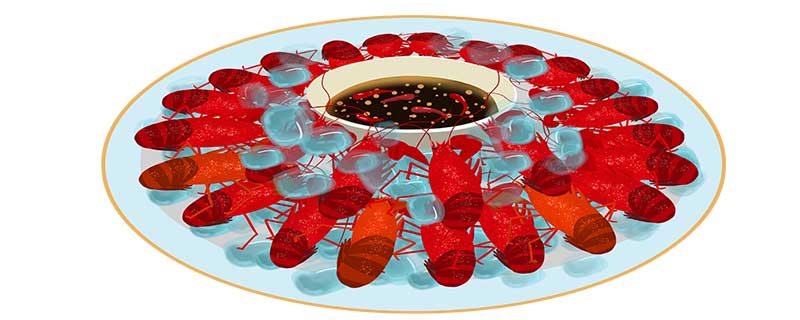 小龙虾头部里的黄是什么可以吃吗