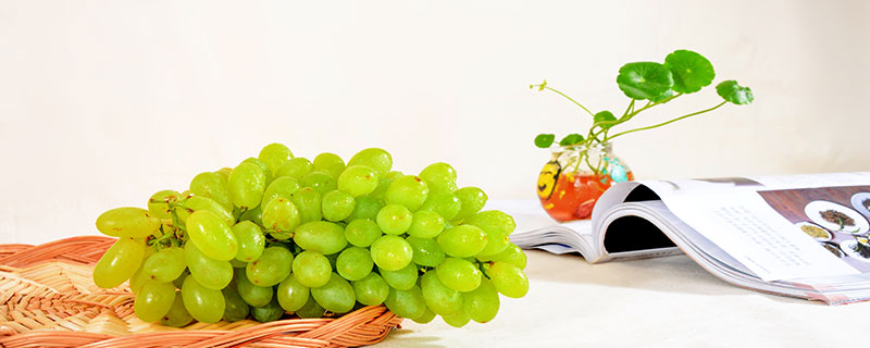 马奶葡萄和青提区别