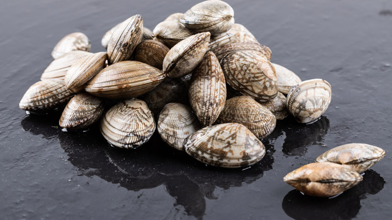 煮花蛤是冷水还是热水下锅