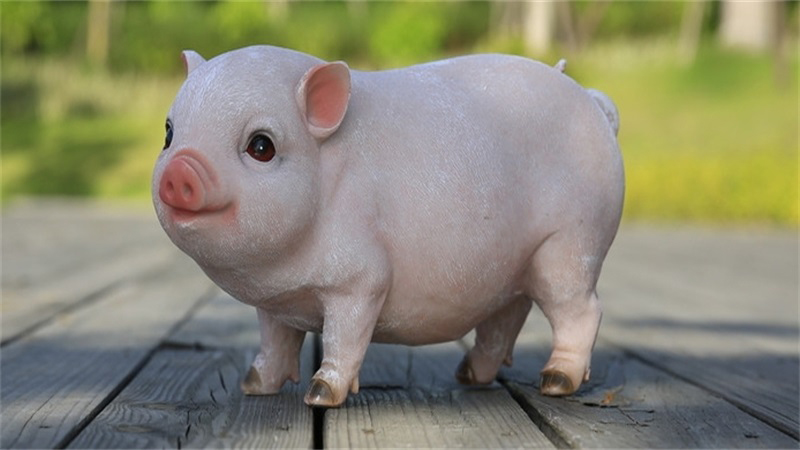 95年属什么的生肖