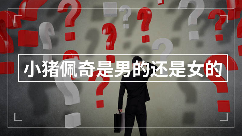 小猪佩奇是男的还是女的