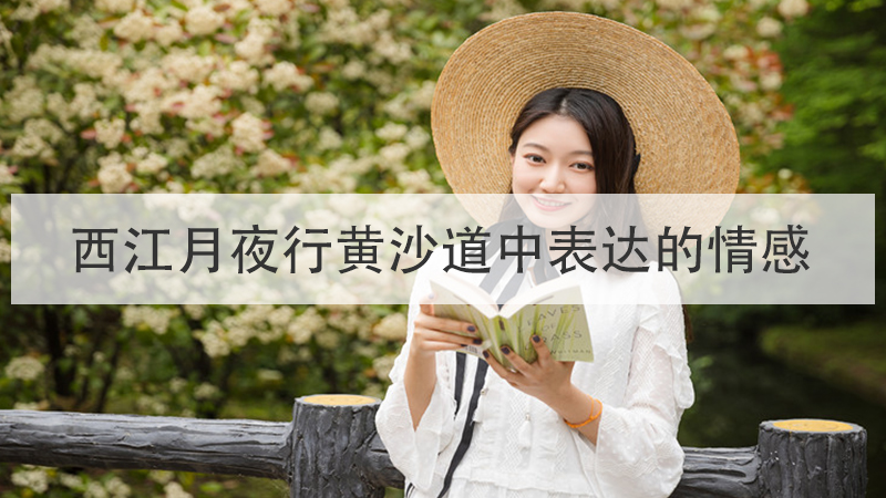 西江月夜行黄沙道中表达的情感